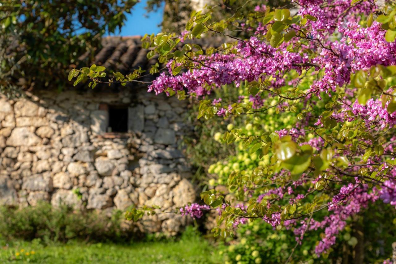 La Maison De Yuka Plieux Esterno foto